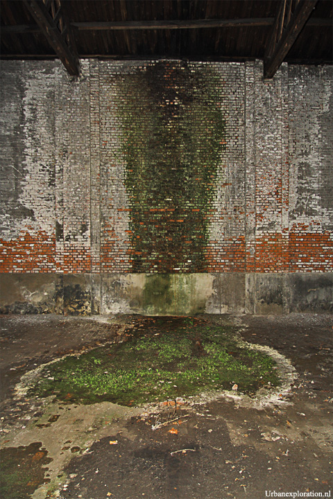 Schotte Leerlooierij - Aalst