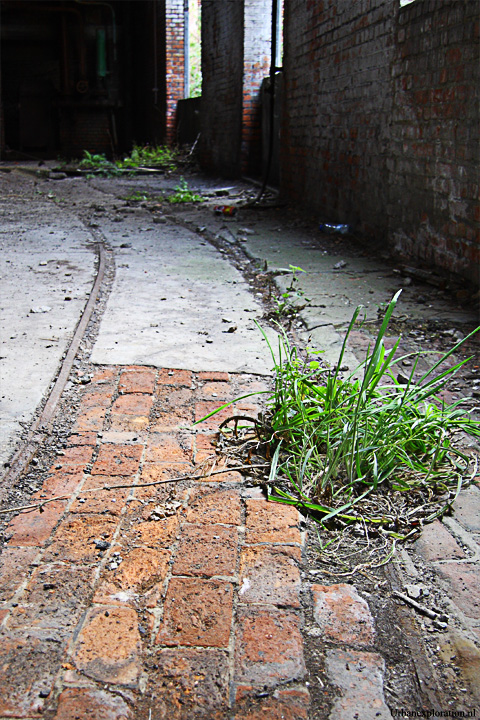 Schotte Leerlooierij - Aalst