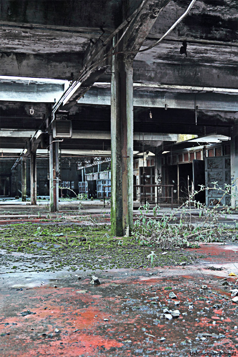 Schotte Leerlooierij - Aalst