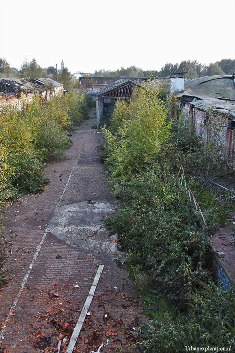 Schotte Leerlooierij - Aalst