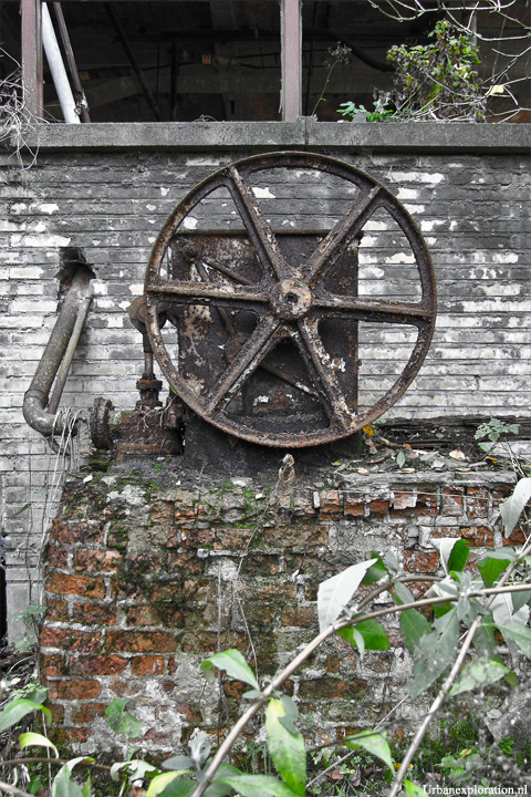 Schotte Leerlooierij - Aalst