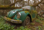 Cars in the Woods - France