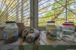 Chernobyl Exclusion Zone - Animal research center