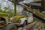 Rusty Cars - Belgium.