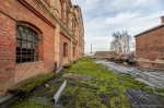 Abandoned Tobacco Factory - Germany.