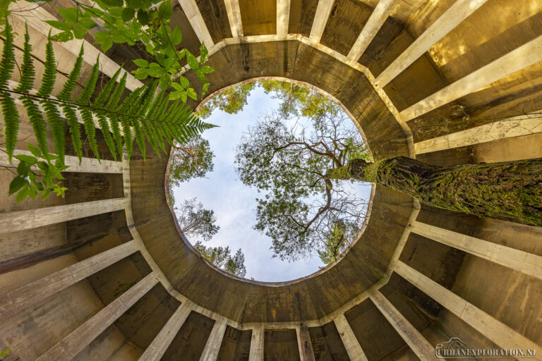 ID:10004 | Green Dome