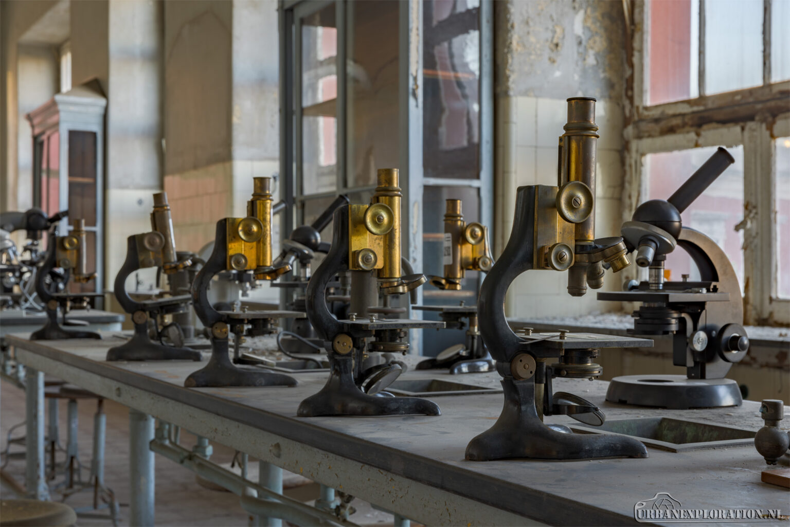 Abandoned school of pathology in Portugal photographed during urban exploration
